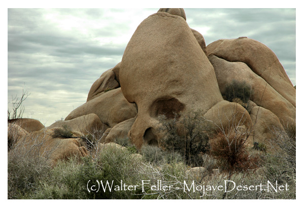 Skull Rock in Joshua Tree National Park