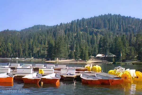 Crestline Lake Gregory Best Sale | www.biblegems.com