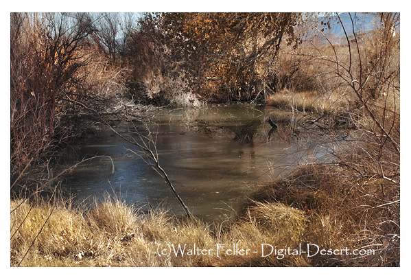 Photo of Rabbit Springs in Lucerne Valley