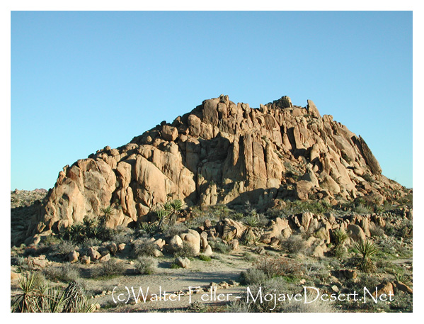 Mastodon Peak in Joshua Tree National Park