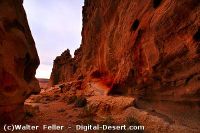 Banshee Canyon, Hole-in-the-Wall, Midhills, Mojave Preserve