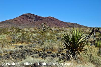 Cinder cones national natural landmark