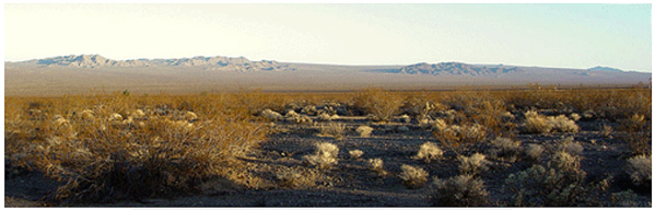 Domes and inselbergs in the Mojave National Preserve