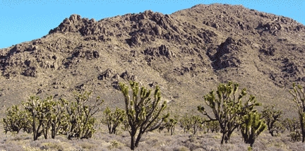 Spheroidal weathering on Kessler Peak