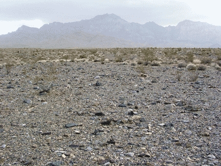 A desert pavement in the Providence Mountains area