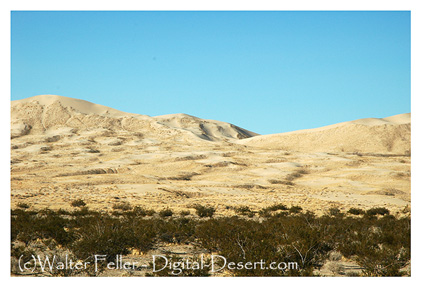 photo of Kelso Dunes trail