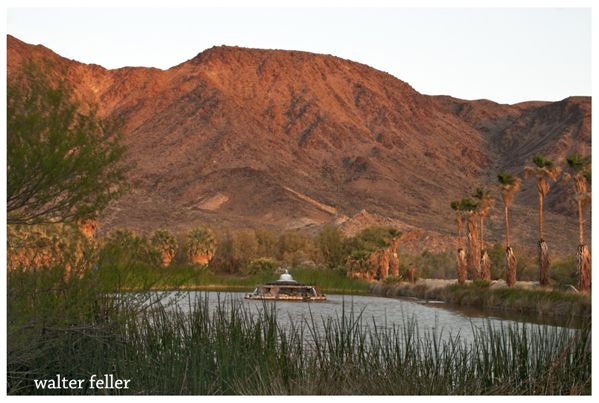 Lake Tuendae, Zzyzx