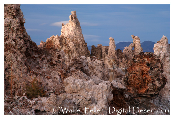 tufa towers at Mono Lake