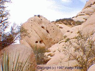tilted strata of Mormon Rocks