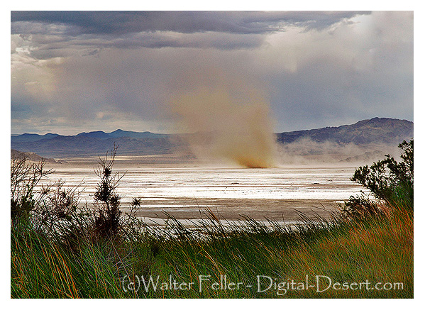 Photo of dust devil on Soda Lake in the Mojave Preserve transporting sand