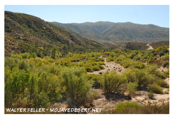 Little Horsethief Canyon - a good place to hide stolen horses