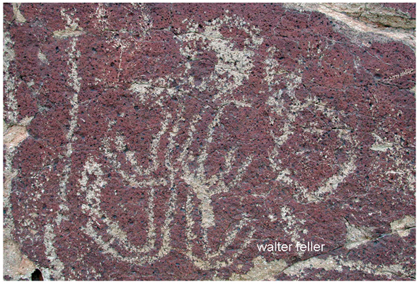 petroglyph photo