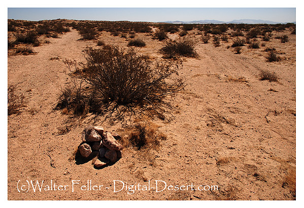 Forks on the Road where the Old Spanish Trail and the Mojave Road come together