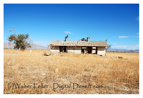 Gobar's Dairy and Ranch, Lucerne Valley, Ca.