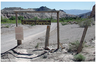 China Ranch - Tecopa, Ca.