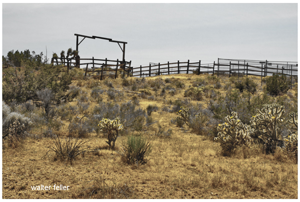 photos of ranches in the Mojave Desert