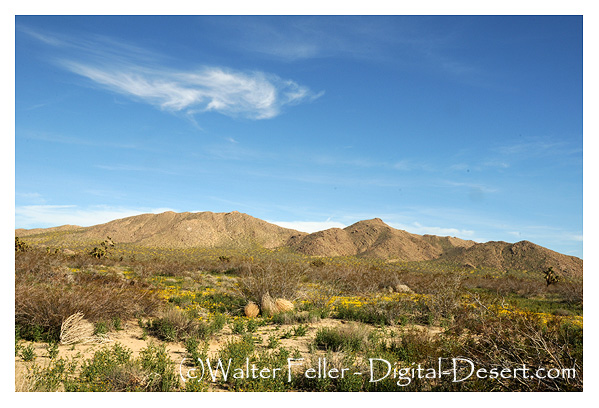 photo of Saddleback Butte State Park