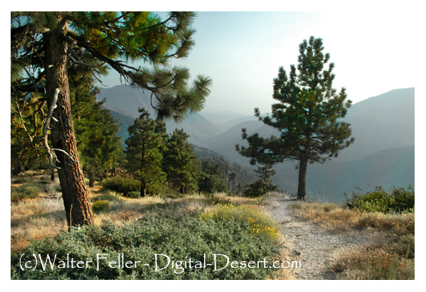 View from Inspiration Point in San Gabriel National Monument