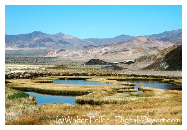 Saratoga Springs photo, Death Valley