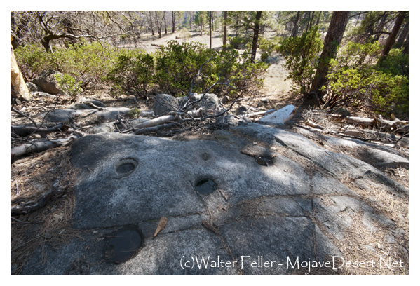 community metate