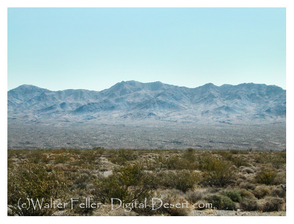 Dead Mountains Wilderness photo