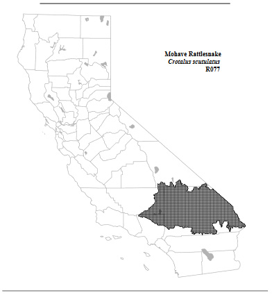 range map for Mohave Rattlesnake