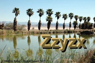 zzyzx mineral spa, soda springs